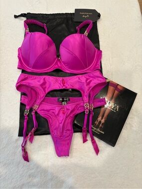 Honey Birdette 4 pc. Pink Satin Set 34DDD/F with matching Stay Ups Rare